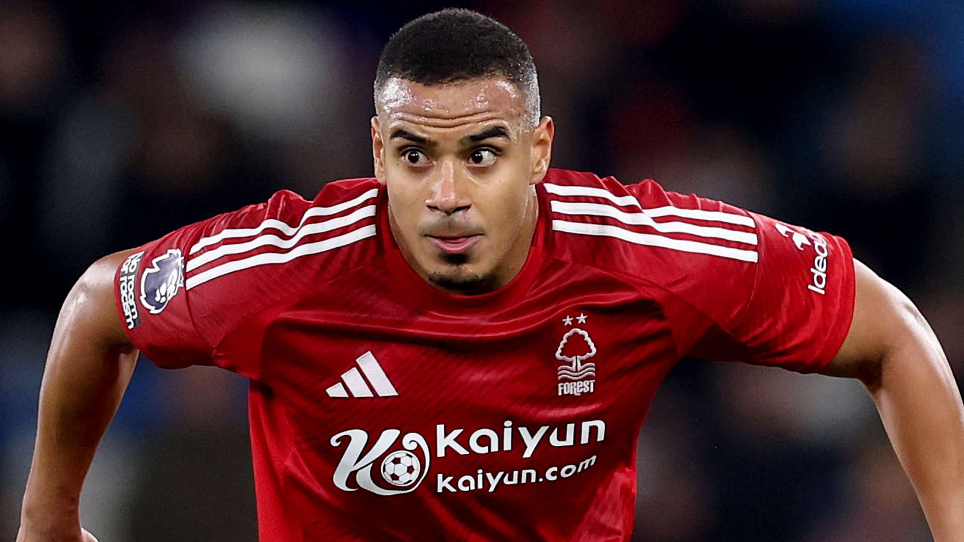 成為埃弗頓 成為埃弗頓