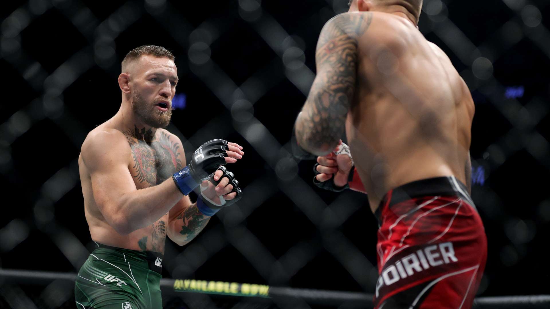 生涯潜力和 生涯潜力和