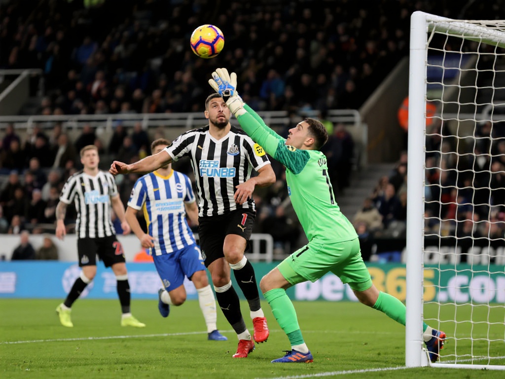 导致比赛中 导致比赛中